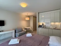 Prodej apartmánu, Dolní Morava, 28 m2