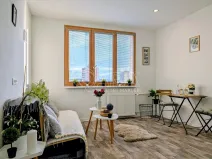 Prodej bytu 1+kk, Plzeň - Doudlevce, Šimerova, 19 m2