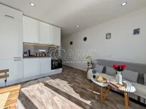 Prodej bytu 1+kk, Plzeň - Doudlevce, Šimerova, 19 m2