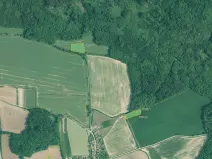 Prodej pole, Olešník, 67455 m2