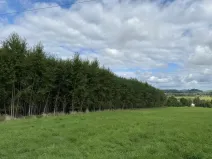 Prodej pole, Česká Kamenice, 108179 m2