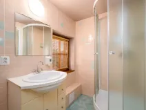 Prodej ubytování, Nový Bor - Janov, 280 m2