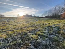 Prodej komerčního pozemku, Velká Bukovina, 20188 m2