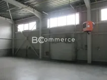 Pronájem skladu, Brno, Vídeňská, 1400 m2