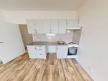 Pronájem bytu 1+kk, Ostrava - Dubina, Jana Maluchy, 32 m2