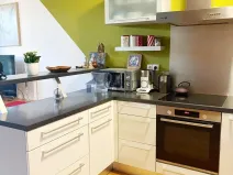 Pronájem bytu 1+kk, Praha, Litoměřická, 47 m2