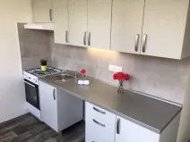 Pronájem bytu 2+1, Ostrava - Hrabůvka, Josefa Kotase, 50 m2