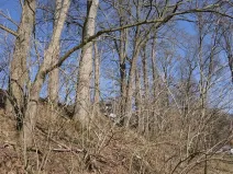 Prodej lesa, Raspenava, 656 m2