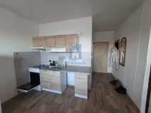 Pronájem bytu 1+1, Plzeň, Šimerova, 43 m2