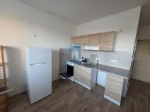 Pronájem bytu 1+1, Plzeň, Šimerova, 43 m2
