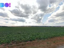 Prodej pole, Náměšť na Hané, 24109 m2