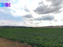 Prodej pole, Náměšť na Hané, 24109 m2