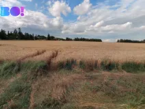 Prodej pole, Prostějov, 29929 m2