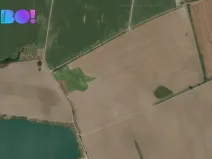 Prodej pole, Grygov, 5882 m2