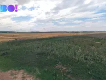 Prodej pole, Senice na Hané, 7577 m2