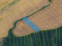 Prodej podílu pole, Nedachlebice, 1192 m2