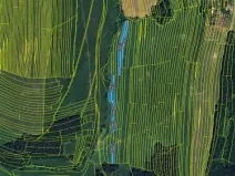 Prodej podílu pole, Újezd, 1628 m2