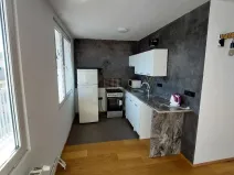 Pronájem bytu 1+1, Most, Josefa Suka, 40 m2