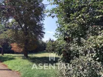 Prodej pozemku, Ostrava - Radvanice, Na Hrázkách, 12371 m2