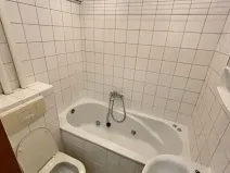 Pronájem bytu 1+kk, Ostrava, Sokolská třída, 21 m2