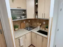 Pronájem bytu 2+kk, Praha - Bubeneč, Lotyšská, 44 m2