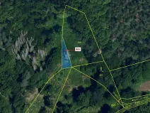 Dražba lesa, Dešov, 111 m2