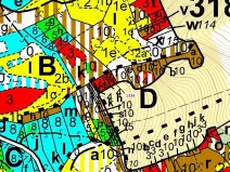Dražba lesa, Spešov, 420 m2