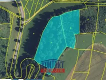 Prodej lesa, Libecina - Javorníček, 15596 m2