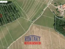 Prodej lesa, Letiny - Svárkov, 12818 m2