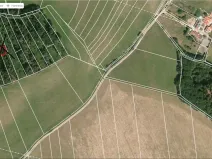 Prodej lesa, Letiny - Svárkov, 10142 m2