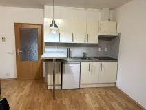 Pronájem bytu 1+kk, Brno - Líšeň, Molákova, 43 m2