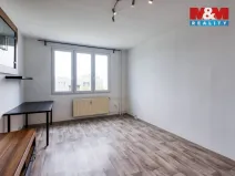 Pronájem bytu 2+1, Domažlice - Týnské Předměstí, Mánesova, 60 m2