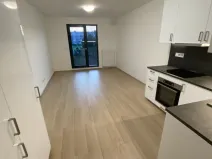 Pronájem bytu 1+kk, Olomouc, Věry Pánkové, 32 m2