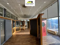 Pronájem obchodního prostoru, Praha - Michle, Na křivině, 1000 m2