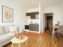Pronájem bytu 1+kk, Ostrava - Poruba, Francouzská, 28 m2