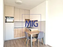 Pronájem bytu 2+kk, Brno, Spolková, 48 m2