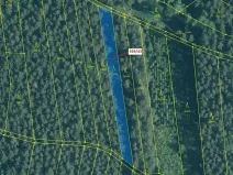 Dražba lesa, Hosty, 1258 m2