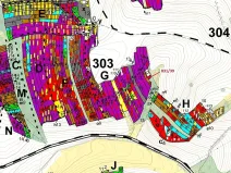 Dražba lesa, Koloveč, 3368 m2