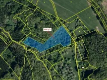 Dražba louky, Slopné, 7426 m2