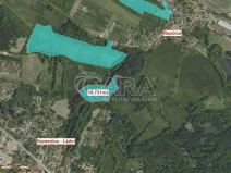 Prodej lesa, Velké Popovice, 19731 m2