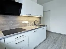 Pronájem bytu 1+1, Ostrava, Poděbradova, 55 m2