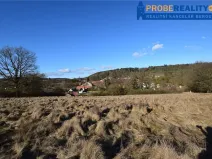 Prodej pozemku pro bydlení, Mirotice, 9991 m2