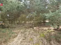 Prodej pozemku pro bydlení, Olešná, 1249 m2