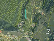 Prodej podílu pole, Starý Hrozenkov, 349 m2