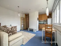 Pronájem bytu 1+kk, Praha - Holešovice, U městských domů, 42 m2