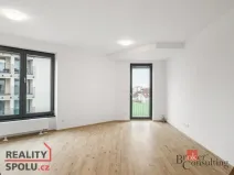 Pronájem bytu 2+kk, Plzeň - Jižní Předměstí, Železná, 52 m2