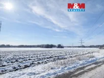 Prodej pole, Všestudy, 1355 m2