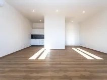 Pronájem bytu 1+kk, Praha - Nové Město, Lípová, 48 m2