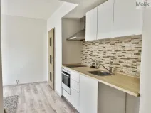Pronájem bytu 2+kk, Most, Františka Malíka, 39 m2