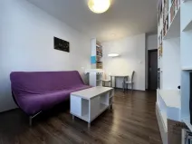 Pronájem bytu 2+kk, Praha - Žižkov, Rečkova, 50 m2